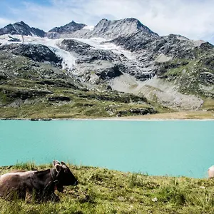 https://albergo-meuble-stelvio.it-lombardy.com